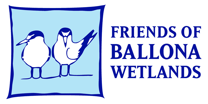 Friends of Ballona Wetlands