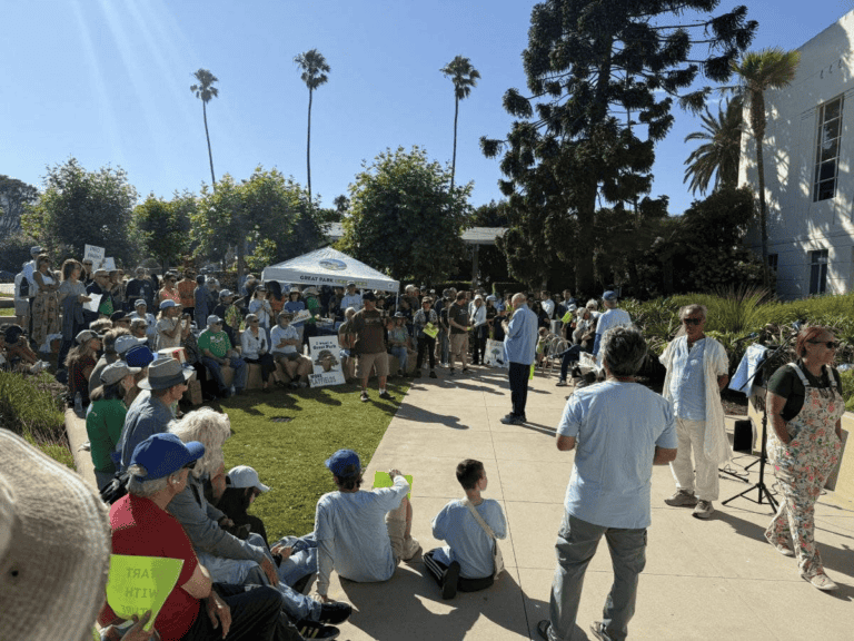 Council votes 6-1 for an LC-compliant Great Park!